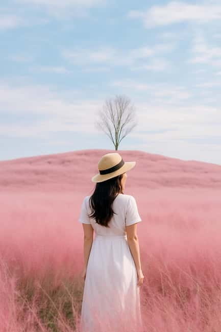 Busan: Autumn Jinju Namgang Lantern Festival & Pink Muhly - Discovering the Pink Muhly Fields at Hapcheon