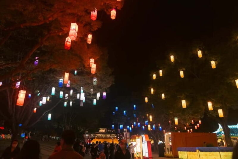Busan: Autumn Jinju Namgang Lantern Festival & Pink Muhly - FAQs