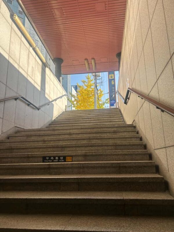 Busan: Beomeosa Temple Tour with Meal and Hike Option - Transportation and Group Size