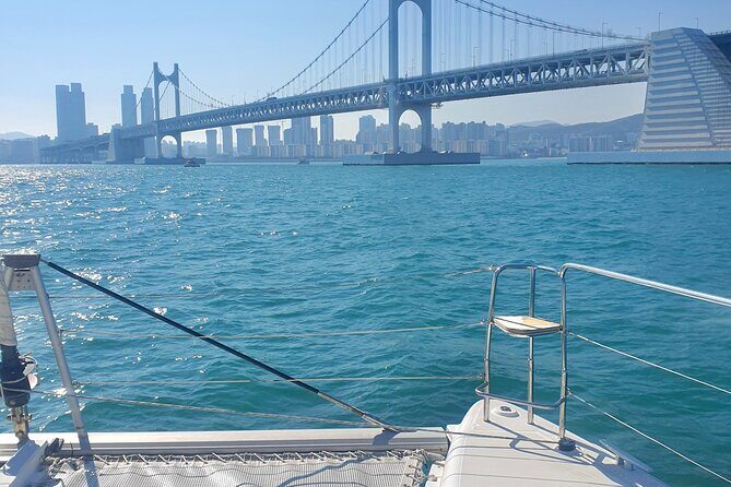 Busan Bliss: Panoramic Yacht & Urban Exploration with Sky Capsule - Final Thoughts: Who is This Tour For?