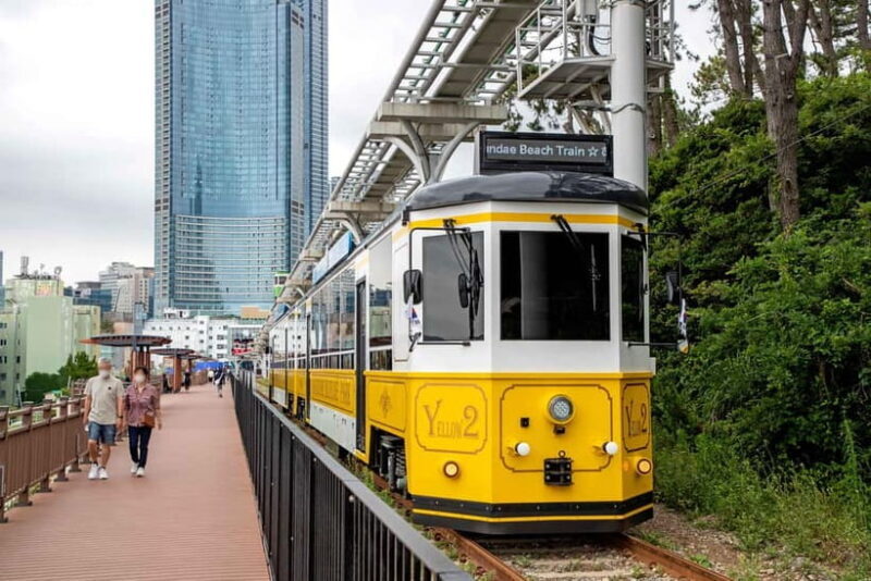 Busan: Busan 9 Highlights Tour - Transportation and Group Experience