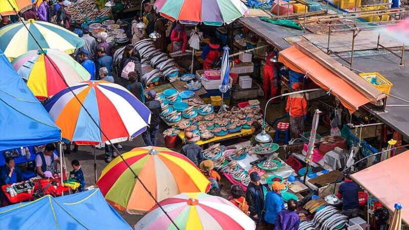 Busan: Busan 9 Highlights Tour - Final Thoughts