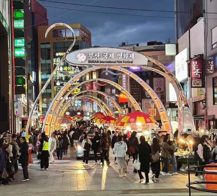 Busan Cruise Port - VIP Group Tour (Max 6 Guests) - Practical Tips and Considerations