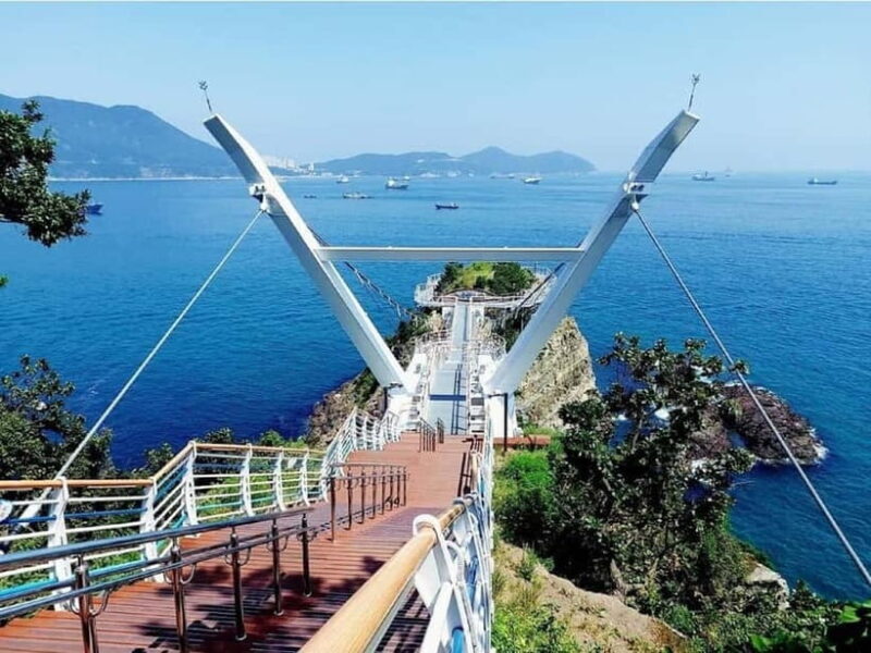 Busan Cruise Port - VIP Group Tour (Max 6 Guests) - Who Is This Tour Best Suited For?