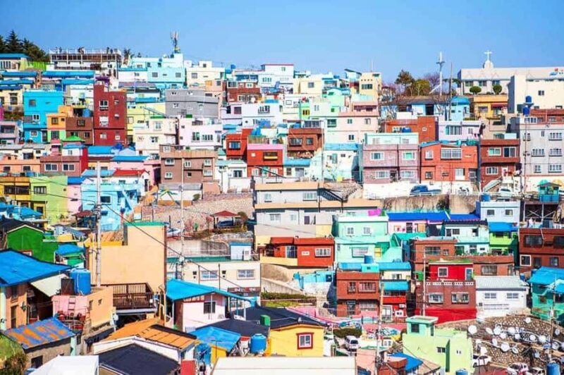 Busan: Customized Private Car Tour City Sights & Local Gems - Key Points