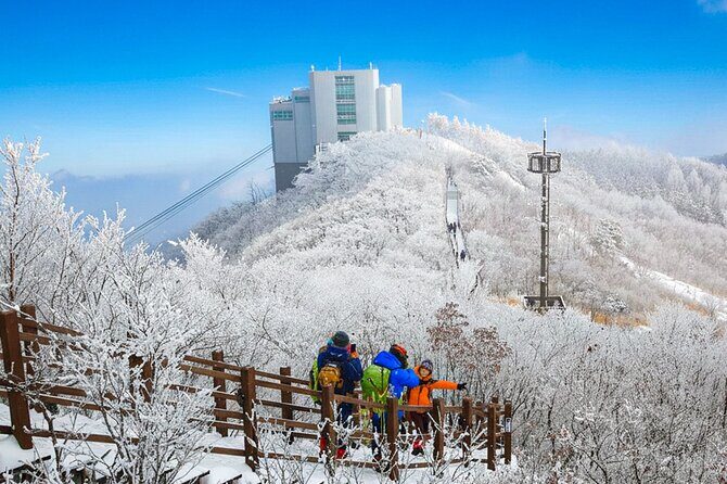 Busan Discovery Tour with Snow and UNESCO Spot - Exploring the Busan Discovery Tour with Snow and UNESCO Spot: A Deep Dive