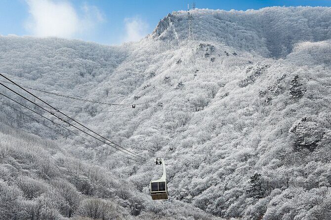 Busan Discovery Tour with Snow and UNESCO Spot - Key Points