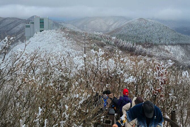 Busan Discovery Tour with Snow and UNESCO Spot - Final Thoughts