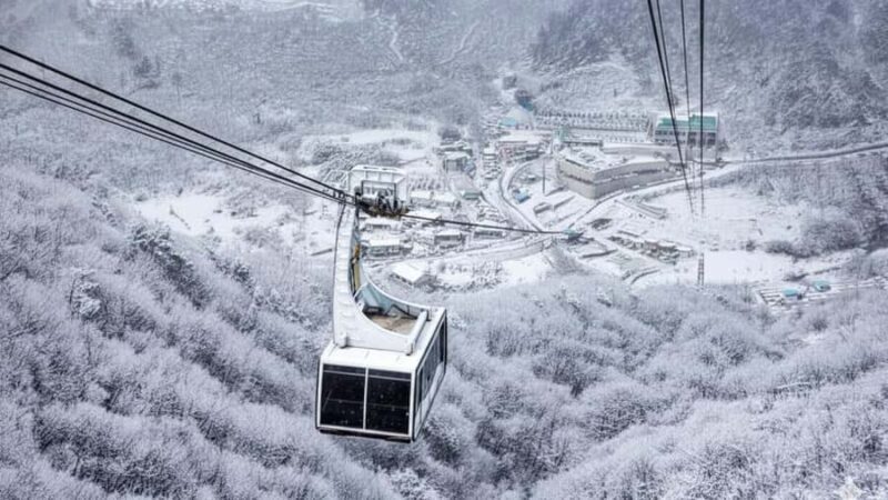 Busan: Discovery Tour With Snow & UNESCO Spot - An In-Depth Look at the Busan Discovery Tour