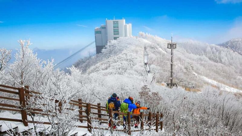 Busan: Discovery Tour With Snow & UNESCO Spot - Practical Details and What to Expect