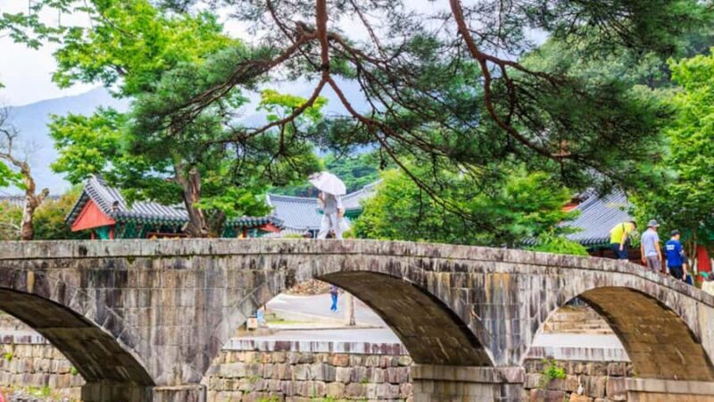 Busan: Discovery Tour With Snow & UNESCO Spot - Who Should Consider This Tour?