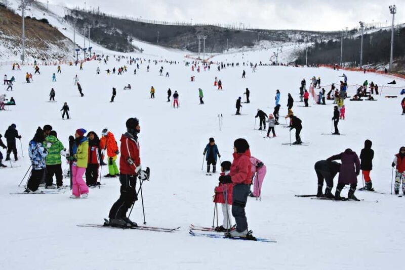 Busan: Eden Valley Resort Winter Ski Day Tour - The Sum Up: Who Should Consider This Tour?