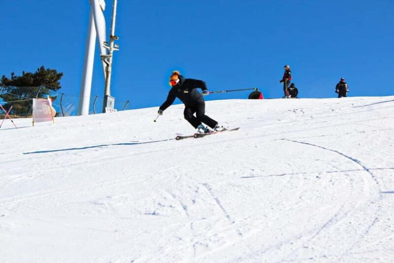 Busan: Eden Valley Resort Winter Ski Snowboard Sled Day Tour - What to Expect from the Eden Valley Winter Adventure