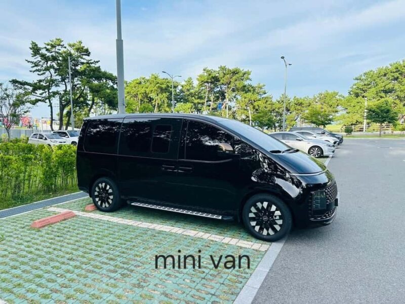 Busan: Full Day Group Tour to City Highlights with Pickup - Practical Considerations and Value