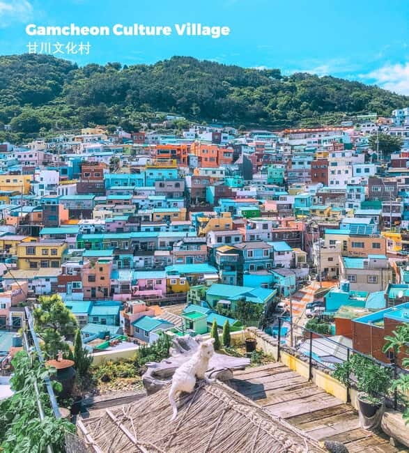 Busan: Full-Day Tour Unmissable things to do in Busan - A Look at the Itinerary