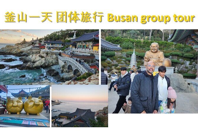 Busan Group Tour for Cruise ship passengers (Max 15 Guests) - Why This Tour Offers Great Value