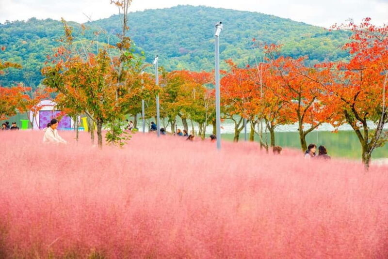 Busan: Gyeongju Autumn Foliage Day Tour with Historic Sites - A Closer Look at the Gyeongju Autumn Foliage Tour