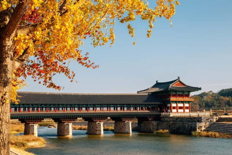 Busan: Gyeongju Autumn Foliage Day Tour with Historic Sites - Frequently Asked Questions