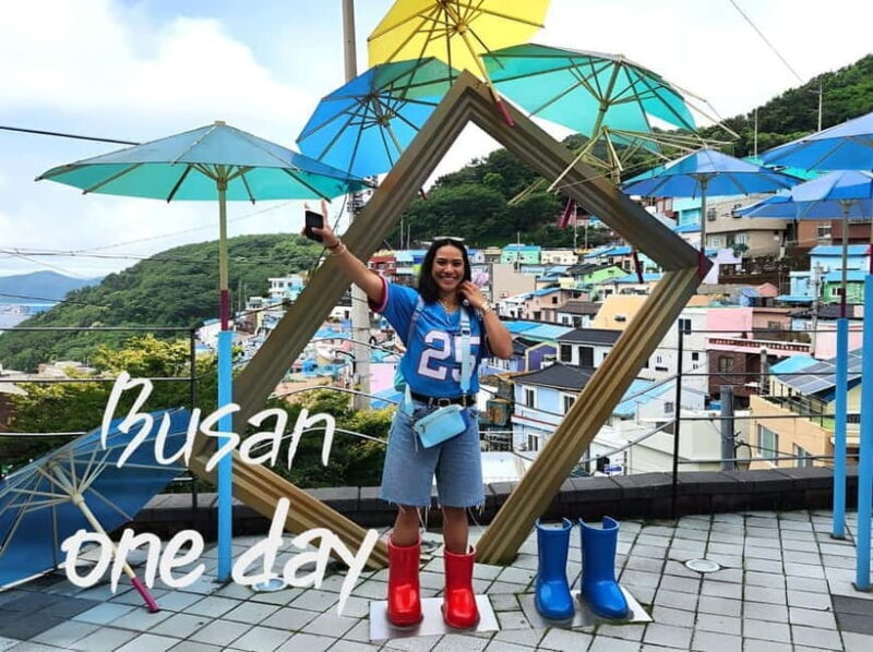 Busan / Gyeongju Customizable Private Tour (up to 8pax) - Key Points