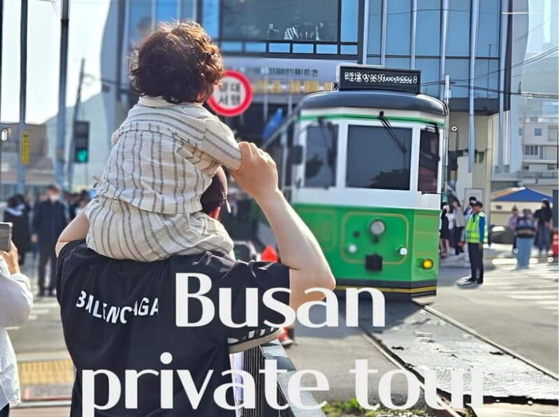 Busan / Gyeongju Customizable Private Tour (up to 8pax) - How the Tour Works: A Closer Look at the Itinerary