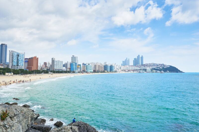 Busan: Haedong Yonggungsa Temple, Camellias Island & More - Who Would Love This Tour?