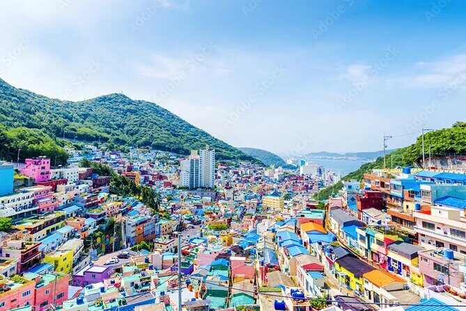 Busan Hidden Gems Beaches and Local Food Private Tour - Discovering Busan’s Hidden Beaches and Vibrant Neighborhoods