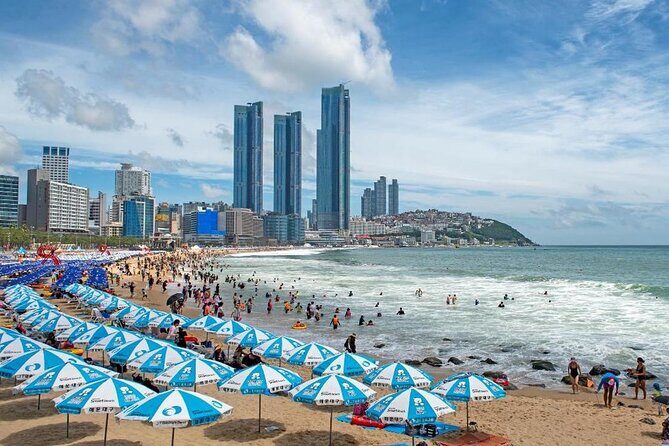 Busan Hidden Gems Beaches and Local Food Private Tour - What Makes This Tour Stand Out?