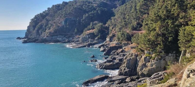 Busan Igidae Coastal Walk & Korean Pancake Experience - What to Expect from the Igidae Coastal Walk