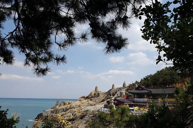 Busan K-Drama Tour in Busan for Private Tour - Starting Point: The Chairmans Residence and Coffee Break