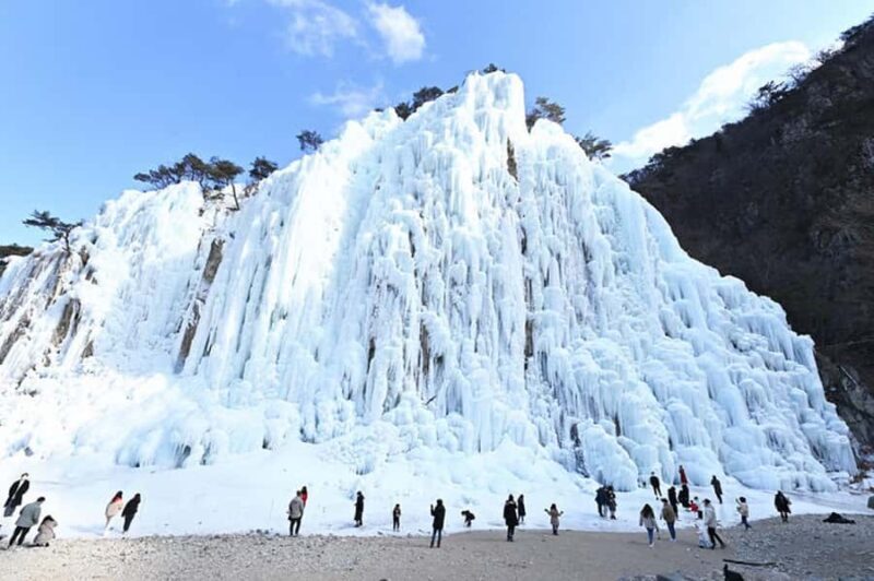 Busan: Kookmin Healing Park & Cheongsong Private Taxi Tour - Final Thoughts