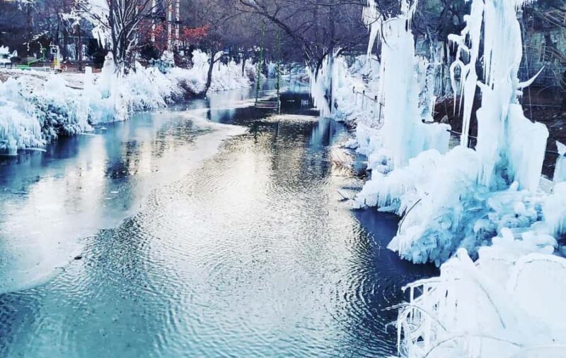 Busan: Kookmin Healing Park & Cheongsong Private Taxi Tour - FAQ