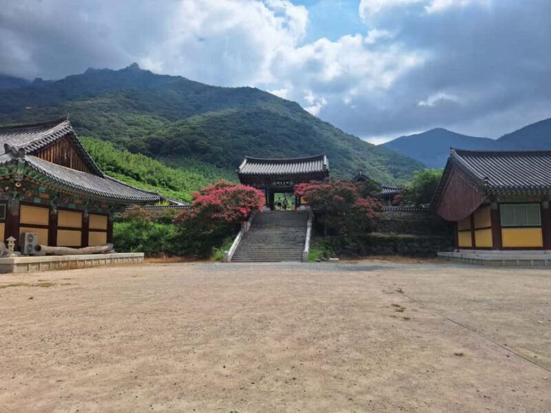 Busan: Miryang Day Tour with Apple Makgeolli Experience - FAQs