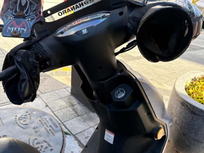 Busan Motorcycle Tour Lesson & Rental Service - Key Points