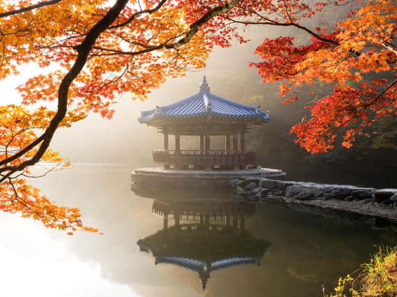 Busan: Naejangsan National Park Autumn Foliage One Day Tour - Visiting Naejangsa Temple