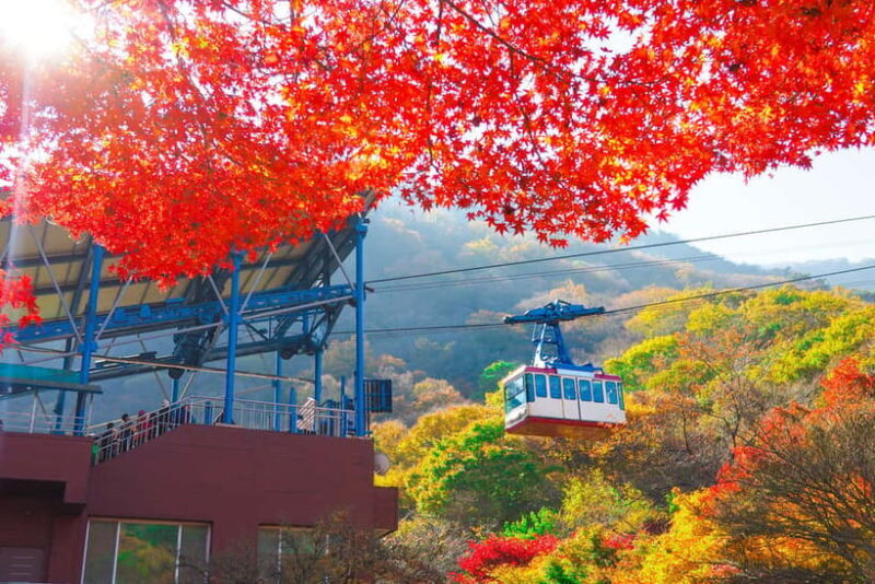 Busan: Naejangsan National Park Autumn Foliage One Day Tour - Value for Money