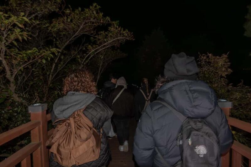 Busan: Night Hiking Tour with the Best Ocean View in Busan - Final Thoughts: The Value of a Night Under Busan’s Stars