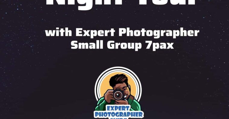 busan-night-tour-includes-snapshots