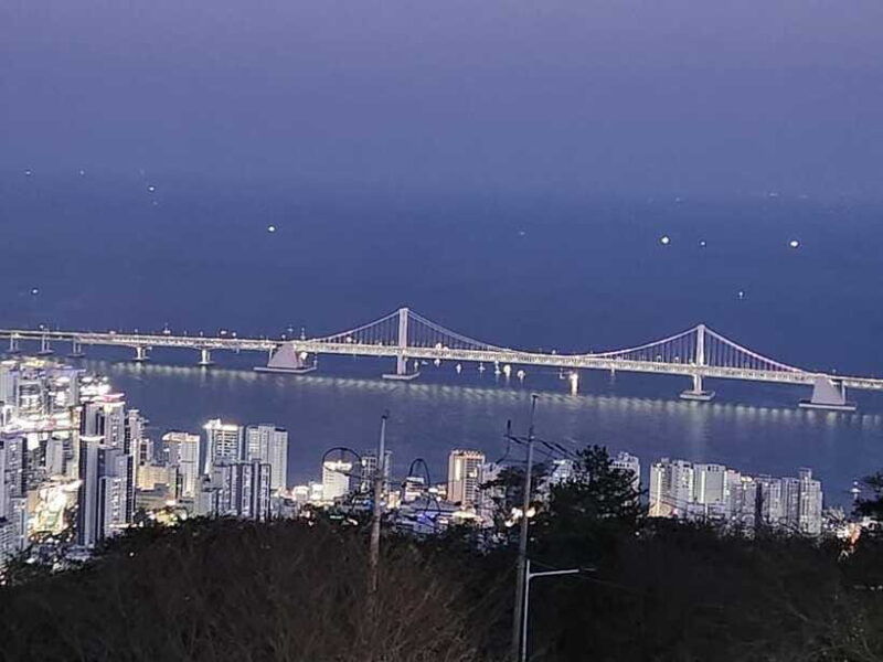 busan-night-view-tour-yacht-hwangnyeongsan-mountain