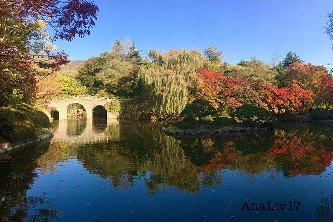 Busan Premium Full-Day Tour - Practical Details and What to Expect