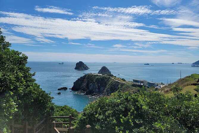 Busan Premium Full-Day Tour - The Sum Up: Who Is This Tour Best For?