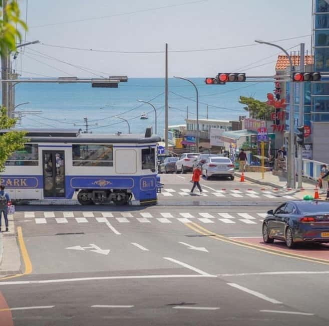 Busan: Private Chartered Car Tour - An In-Depth Look at the Busan Private Car Tour Experience