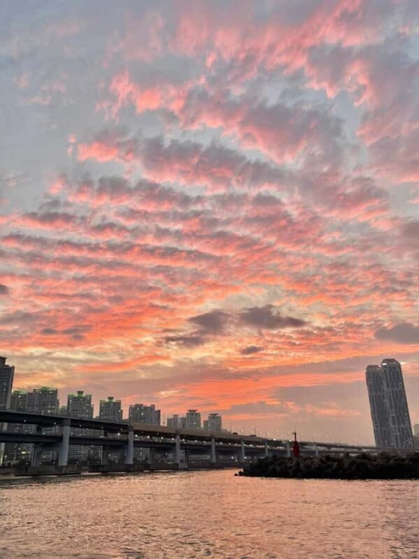 Busan Private Cultural&Coastal Tour with Sunset Yacht Cruise - Who Will Love This Tour?