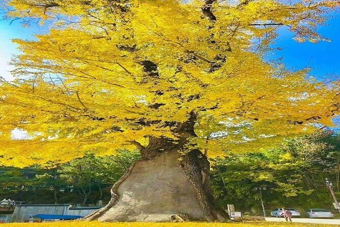 Busan Private Hiking Tour : Panoramic Views Awaits - FAQ