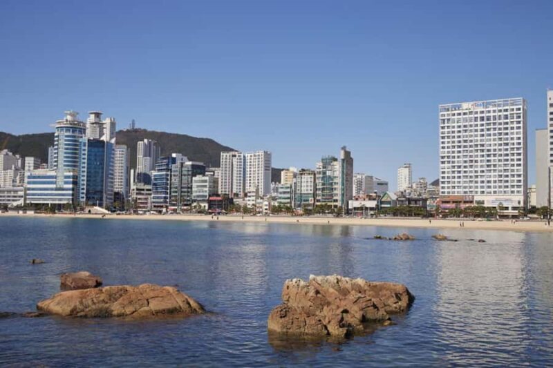 Busan: Private Taxi Tour - Port Cruise Shore Excursion - An Honest Look at the Tour Experience