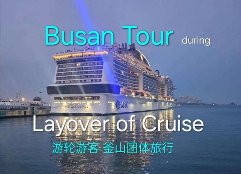 busan-private-tour-cat-cafe