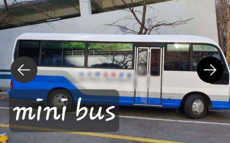 busan-private-tour