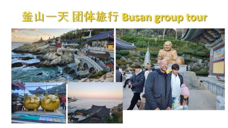 Busan shared Tour for Cruise Ship Passengers Max 15 guests - Key Points