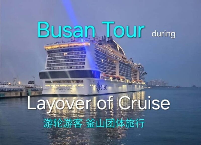 Busan shared Tour for Cruise Ship Passengers Max 15 guests - What Reviewers Say