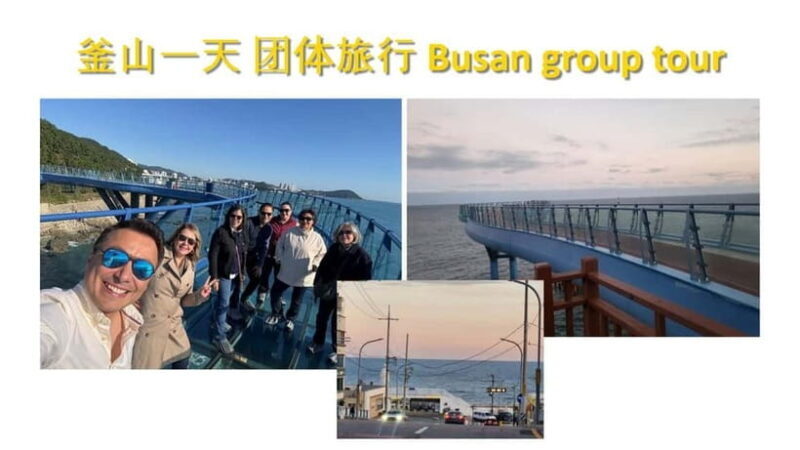 Busan shared Tour for Cruise Ship Passengers Max 15 guests - Who Will Love This Tour?