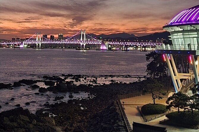 Busan shared tour up to 12 guests - Final Thoughts